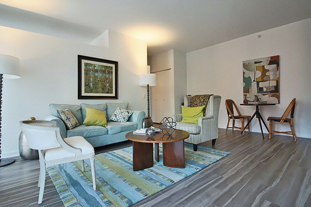 Chicago Condo: 789 N La Salle Dr