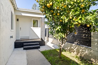 Venice Multiplex: 715 Sunset Avenue