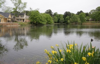 Marietta Apartment: 347 Pat Mell Rd SW