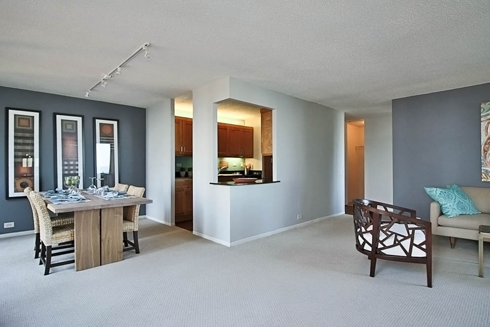 Chicgao Condo: 334 N Stetson Ave