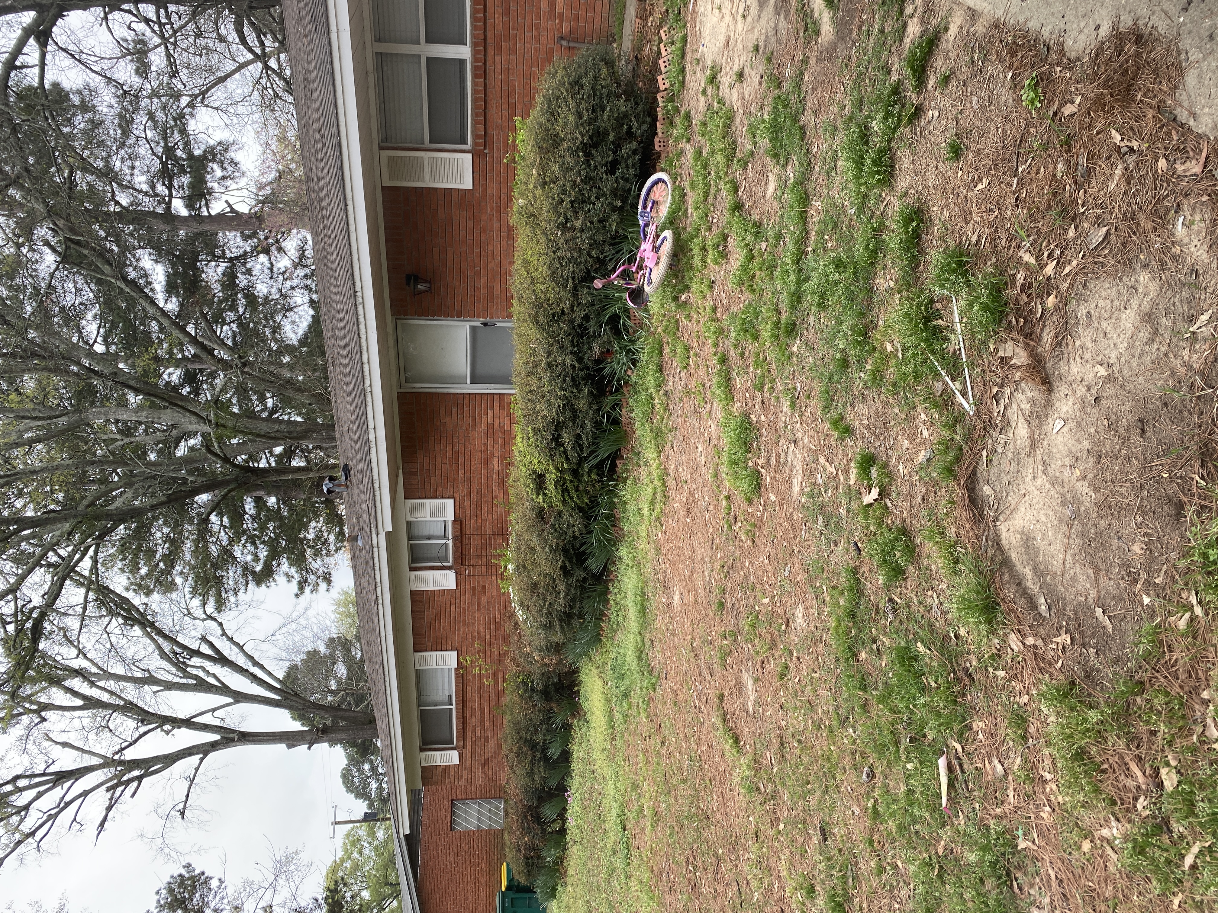 Texarkana House: 3803 Sabine Ave