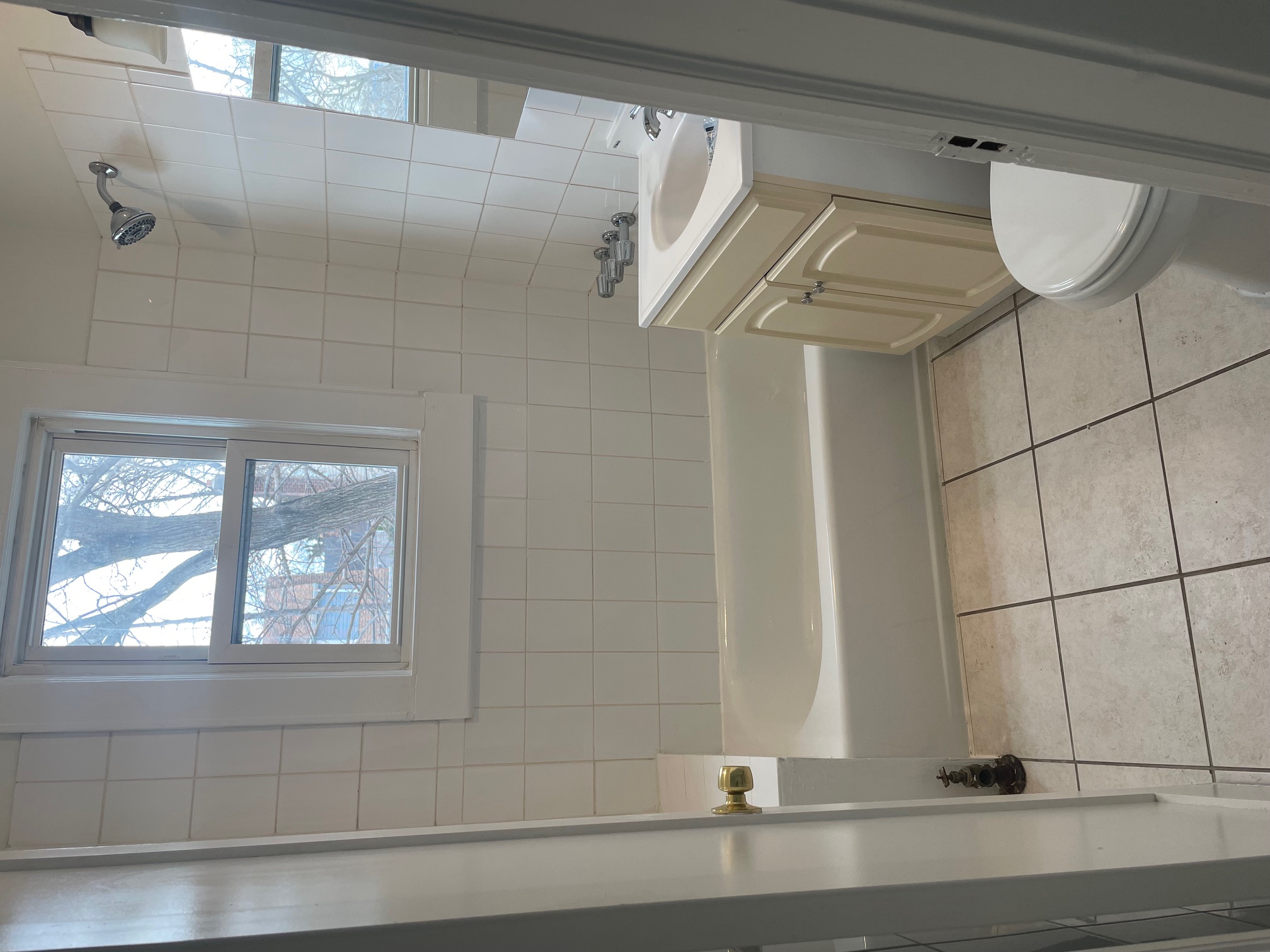 Irvington Multiplex: 38 Feiner Place