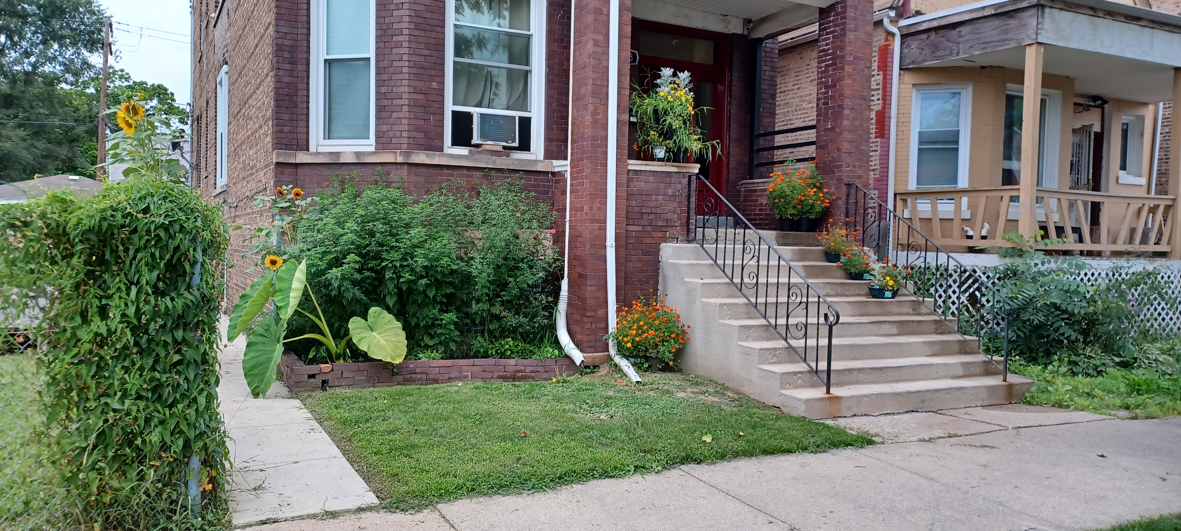 Chicago Multiplex: 6458 S Paulina St #2