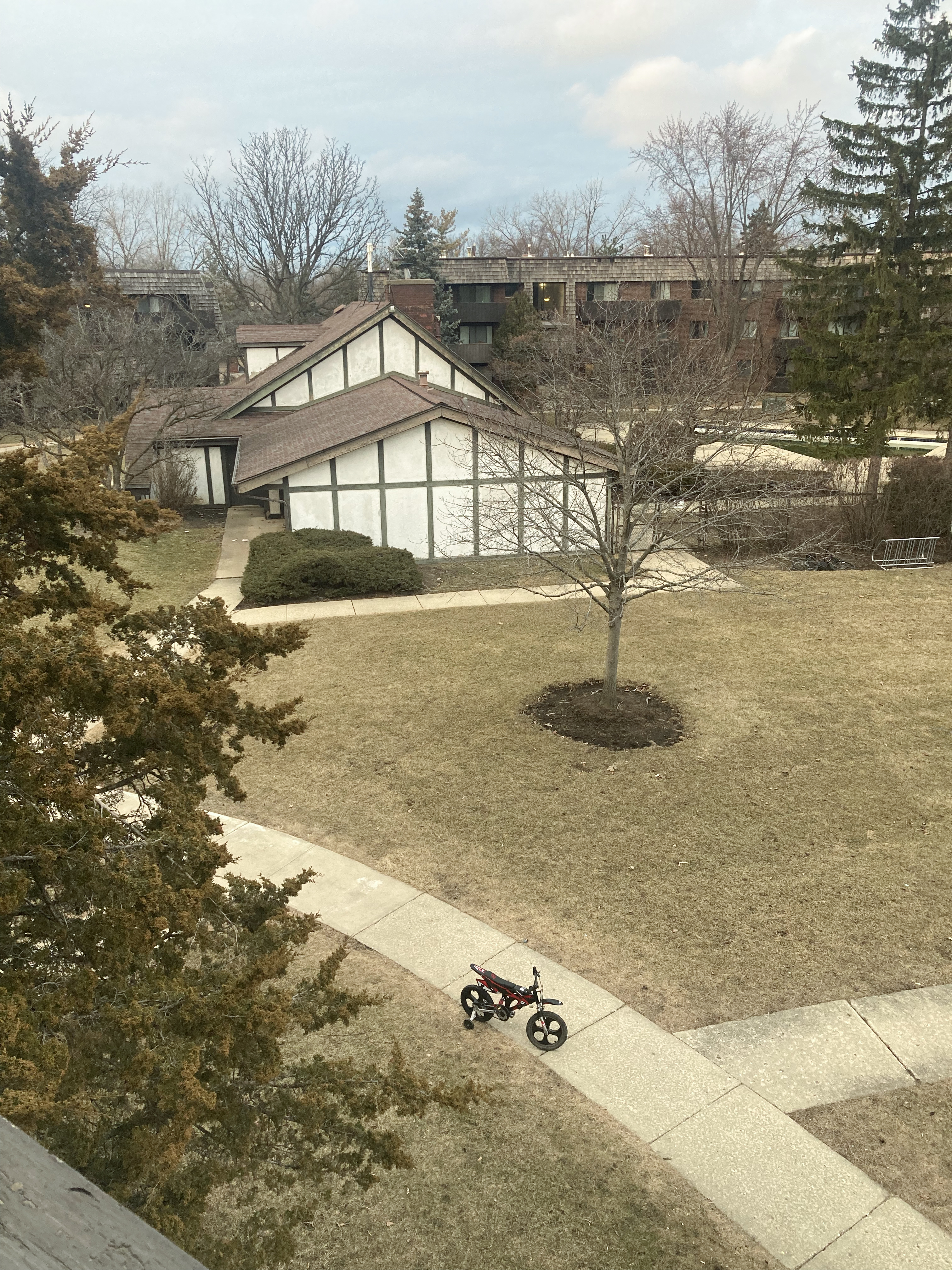 Carol Stream Condo: 513 Timber Ridge Dr