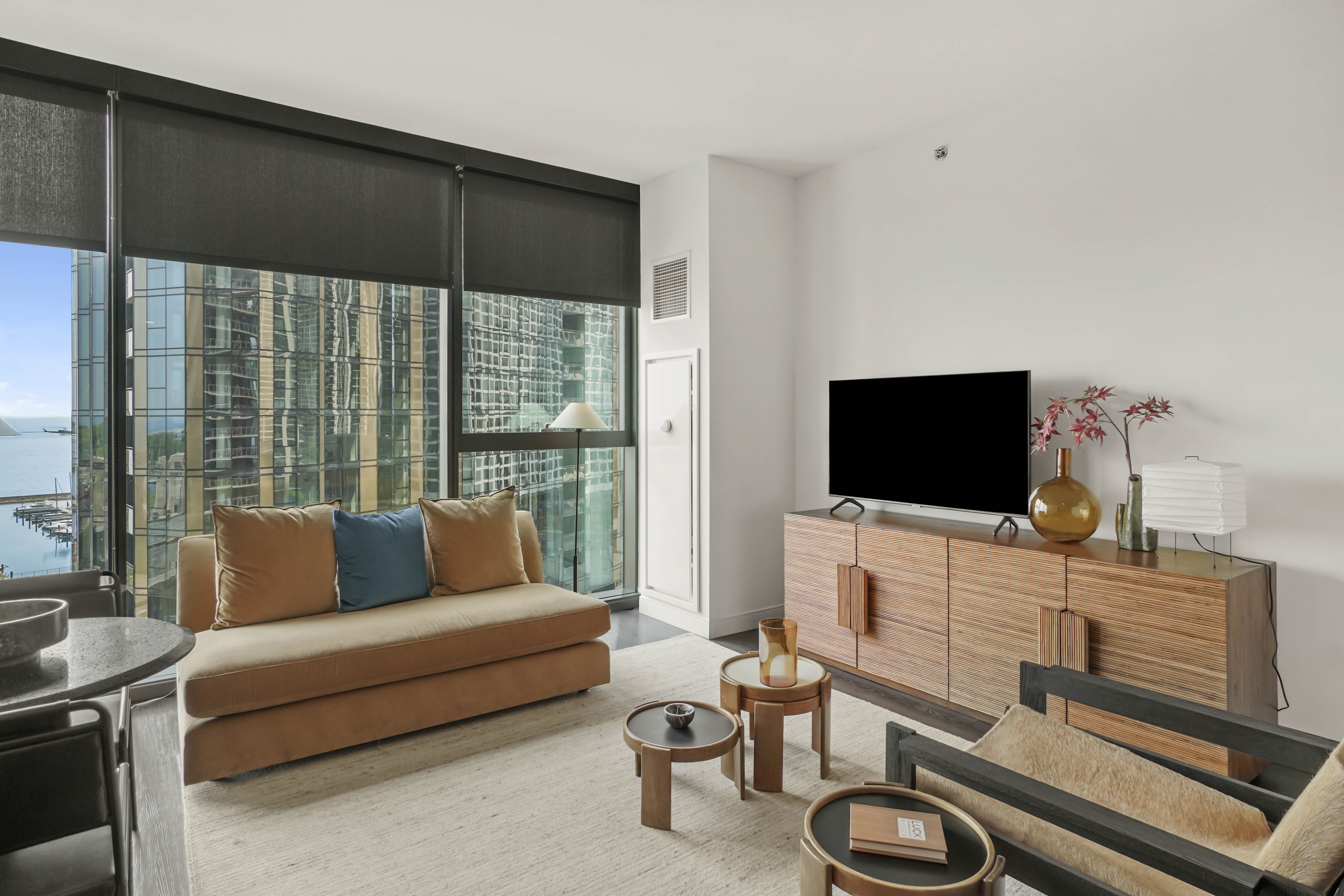 Chicago Condo: 461 E Waterside Dr