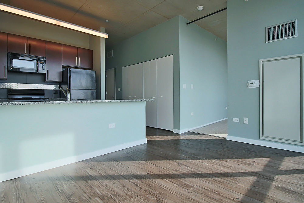 Chicago Condo: 1389 s State