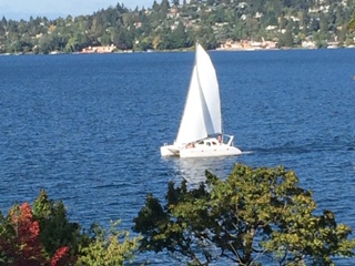 Seattle Other: 4035 51st Ave S