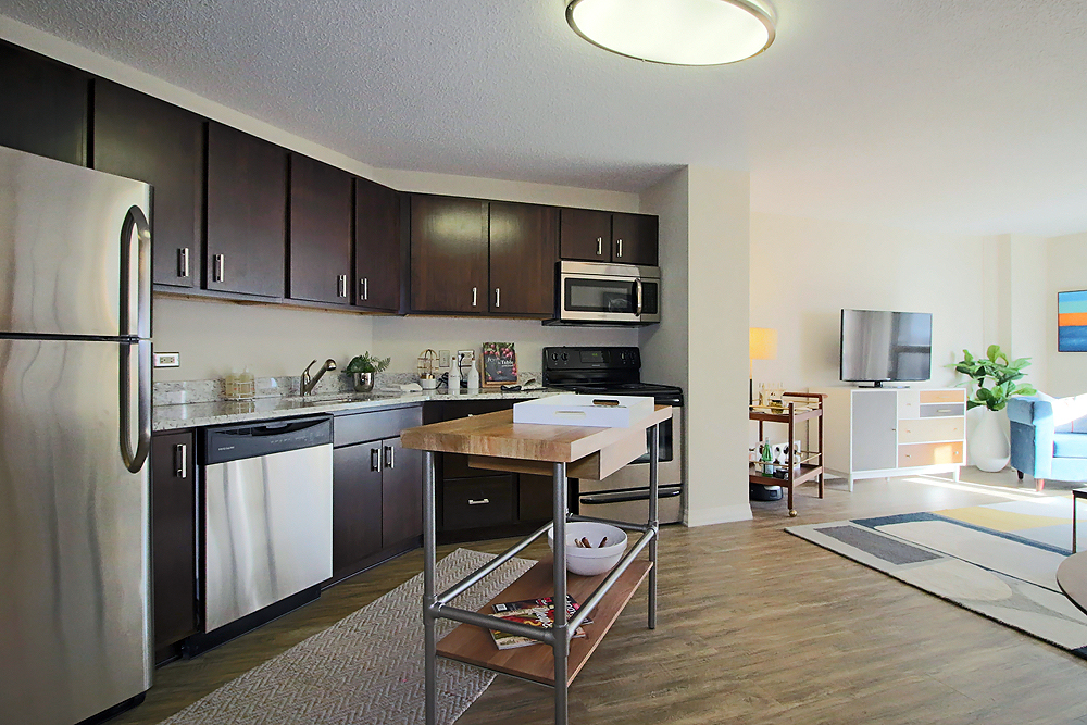 Chicago Condo: 11 W Chestnut