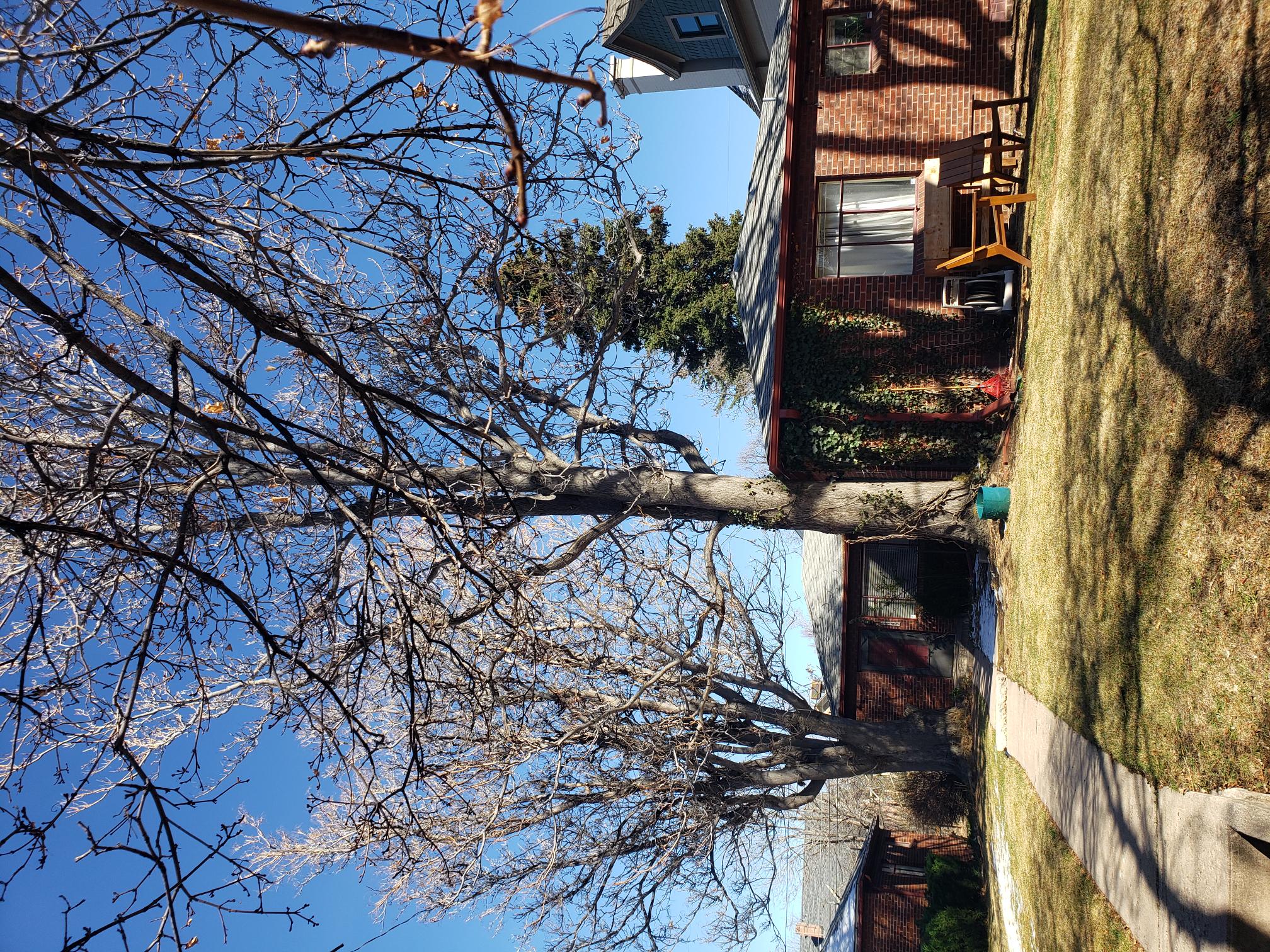 Denver Townhome: 1140 Steele St.