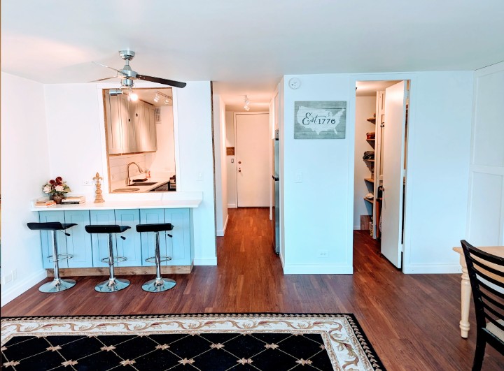 Chicago Condo: 1 East Scott