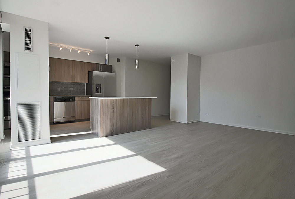 Chicago Condo: 922 S Ashland Ave