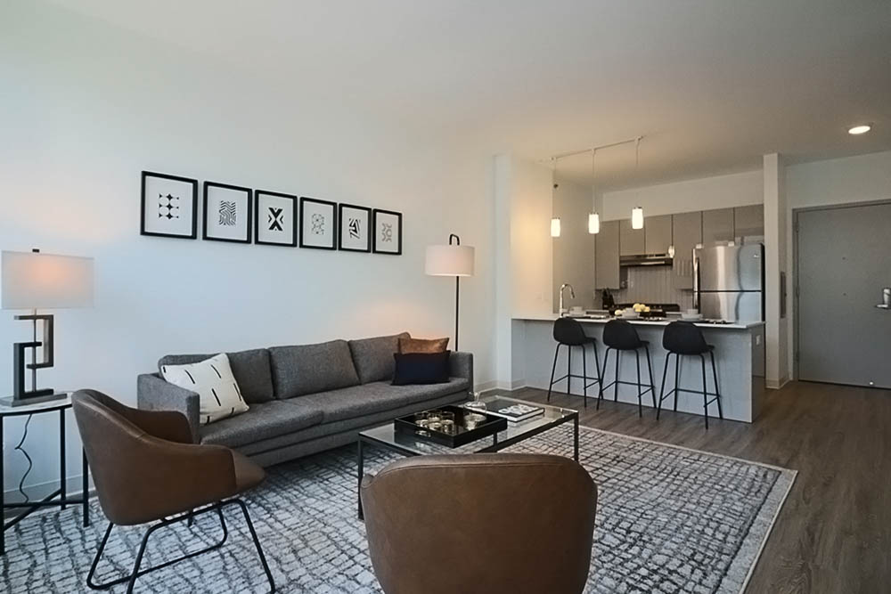 Chicago Condo: 848 W Van Buren St