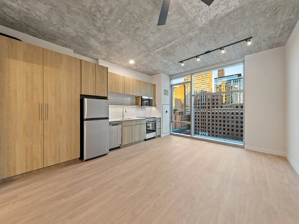 Chicago Condo: 822 N Wells St