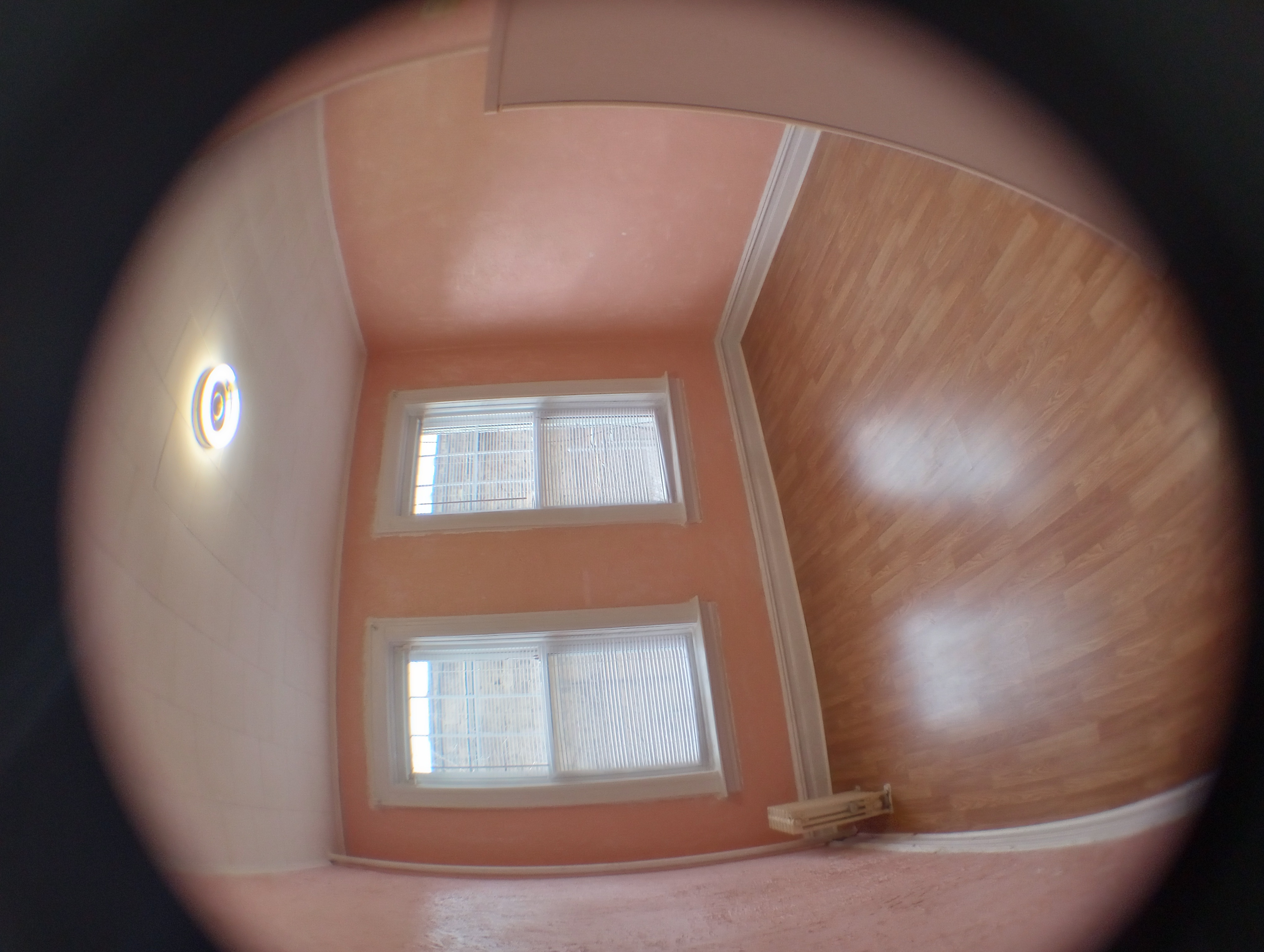 Brooklyn Multiplex: 533 66th St