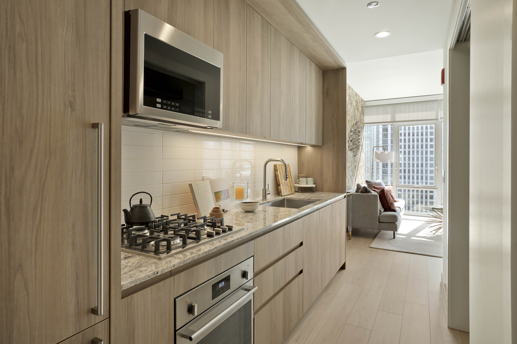 Chicago Condo: 370 N Desplaines St