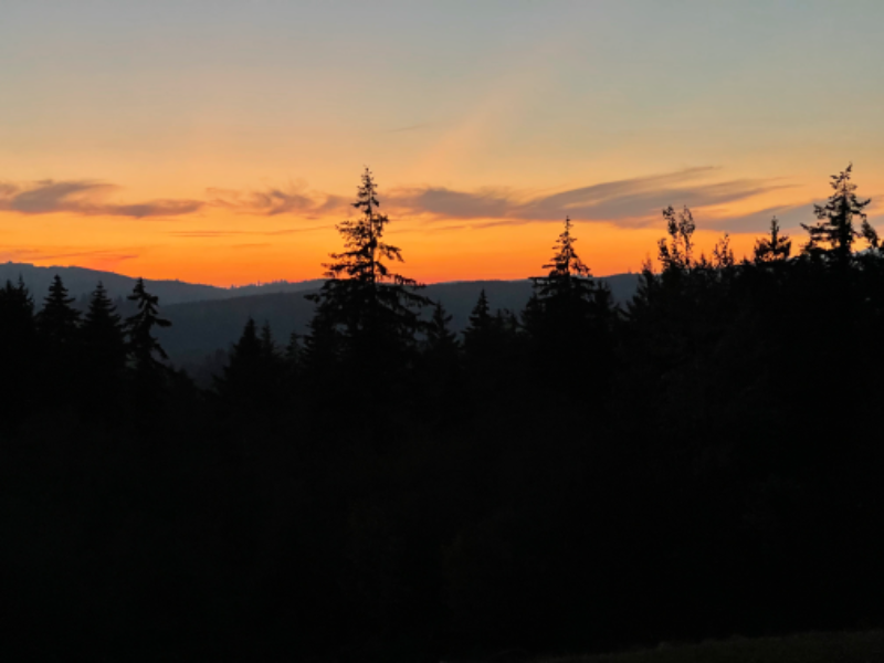 Kelso Other: 276 Alpenridge Rd