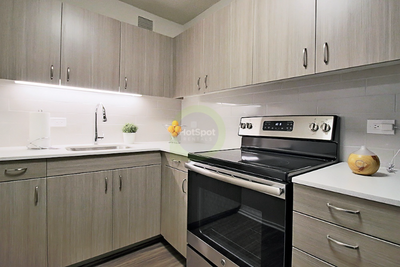 chicago Apartment: 1229 n dearborn