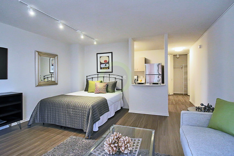 Chicago Condo: 63 W. Elm