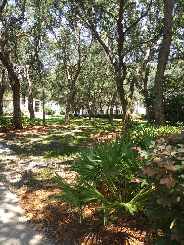 Fernandina Beach House: 1854 Carnation St