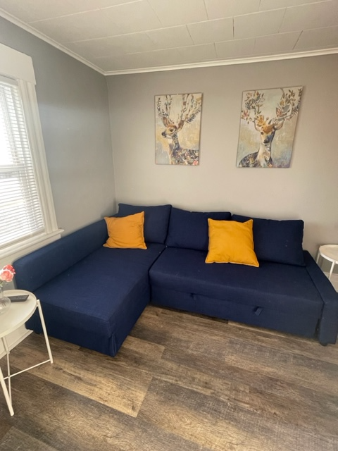 Orange Multiplex: 395 Berwick Street