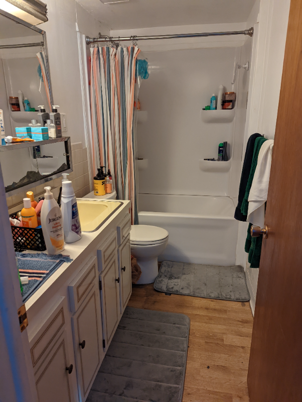 Fort Collins House: 516 Deines Ct