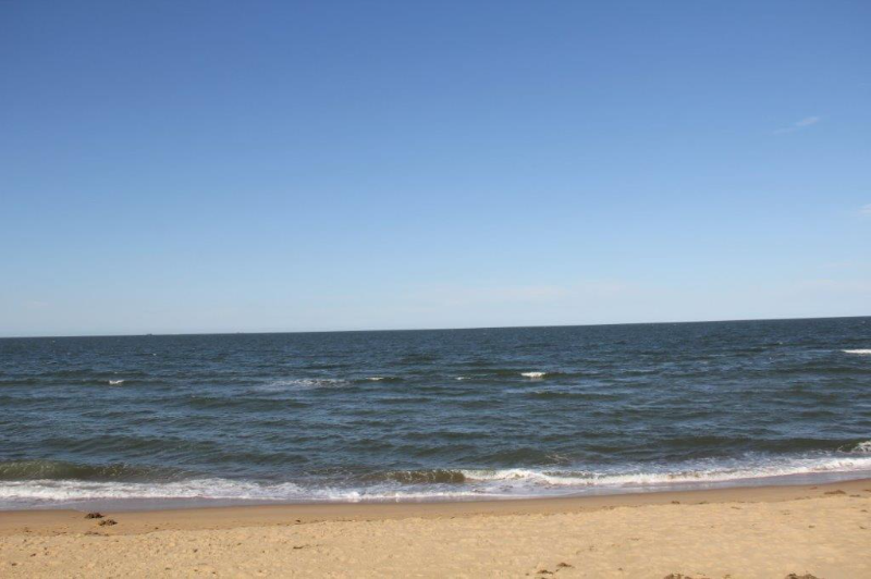 Norfolk Multiplex: 9628 11th Bay