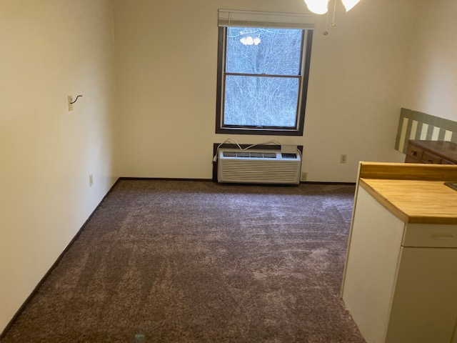 Butler Apartment: 105 Chicora Rd