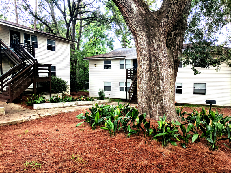 Tallahassee Apartment: 1716 Belle Vue Way