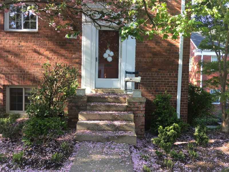 Alexandria Condo: 3408 Gunston Road