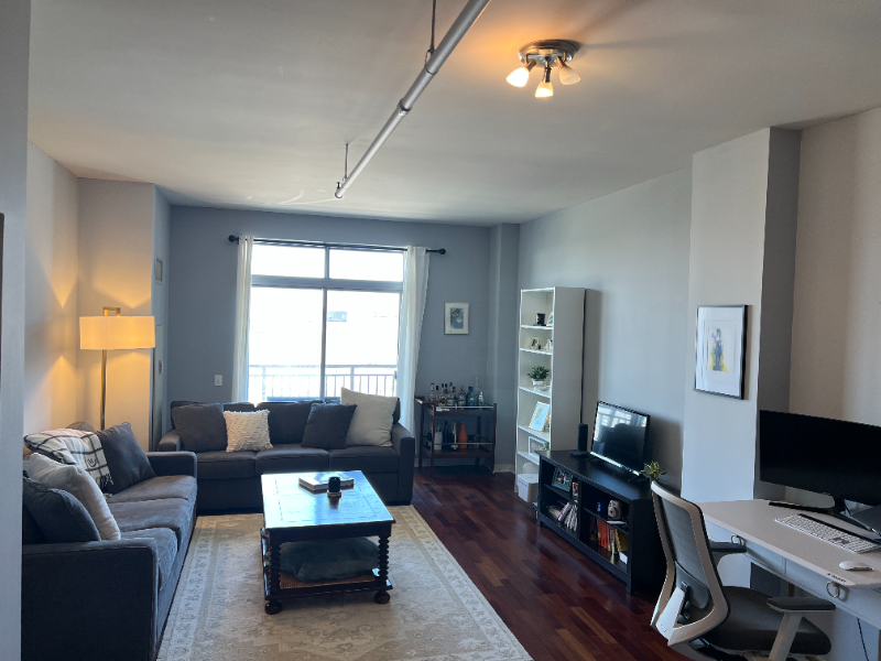 Chicago Condo: 511 W Division St