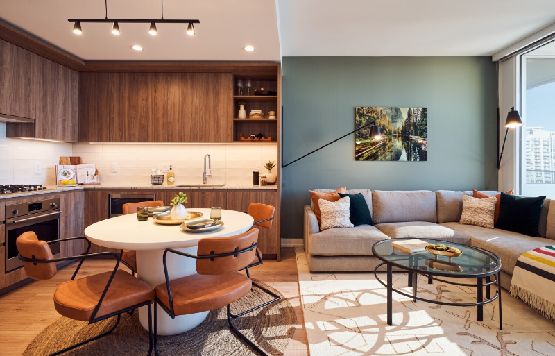 Chicago Condo: 353 W Grand Ave