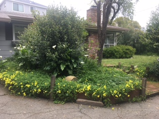 Walnut Creek Other: 2231 Overlook Drive (Private) Unit C