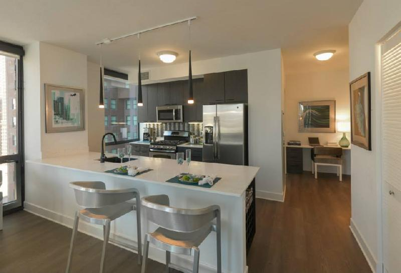 Chicago Condo: 180 N Garland Ct