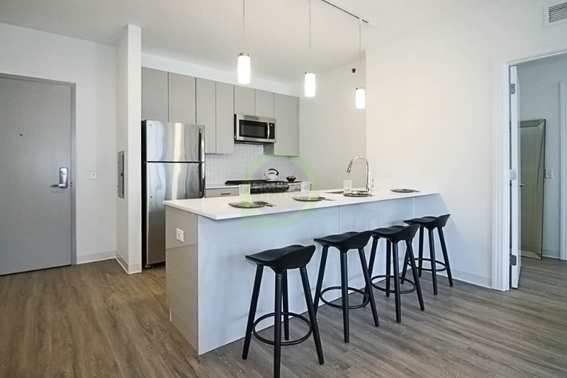 Chicago Condo: 815 W Van Buren