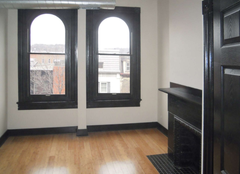 Pittsburgh Apartment: 2012 E Carson St