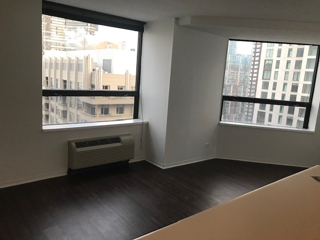chicago Condo: 440 e ohio