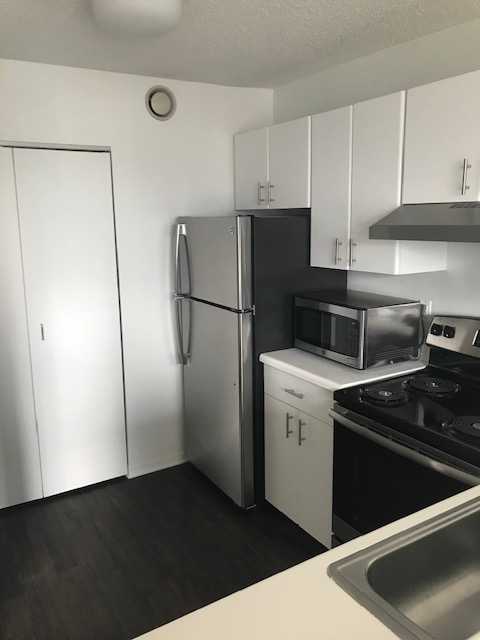 Chicago Condo: 440 e ohio
