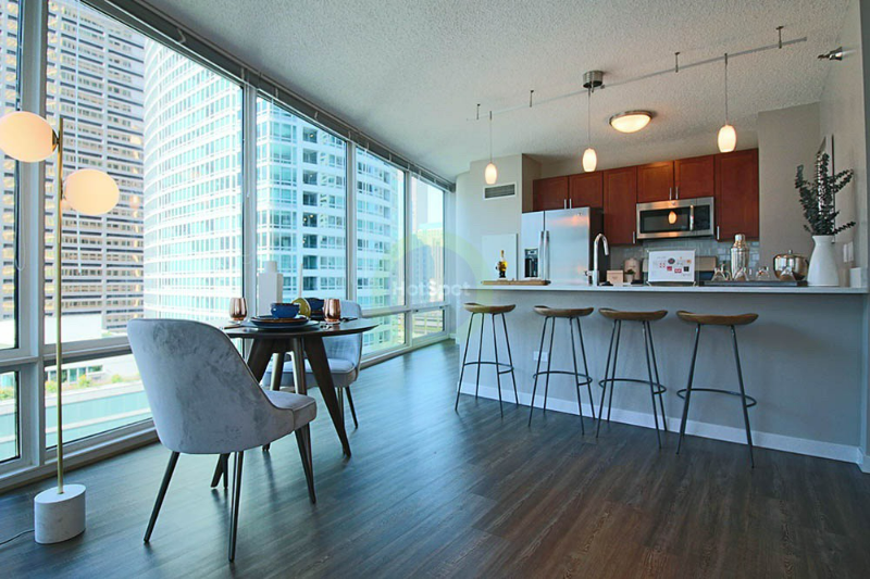 Chicago Condo: 345 E Ohio