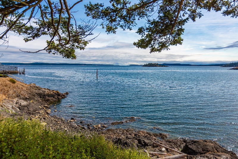 Friday Harbor House: 212 N. Bay Lane