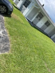 HOLLYWOOD Multiplex: 2124 N 14 AV