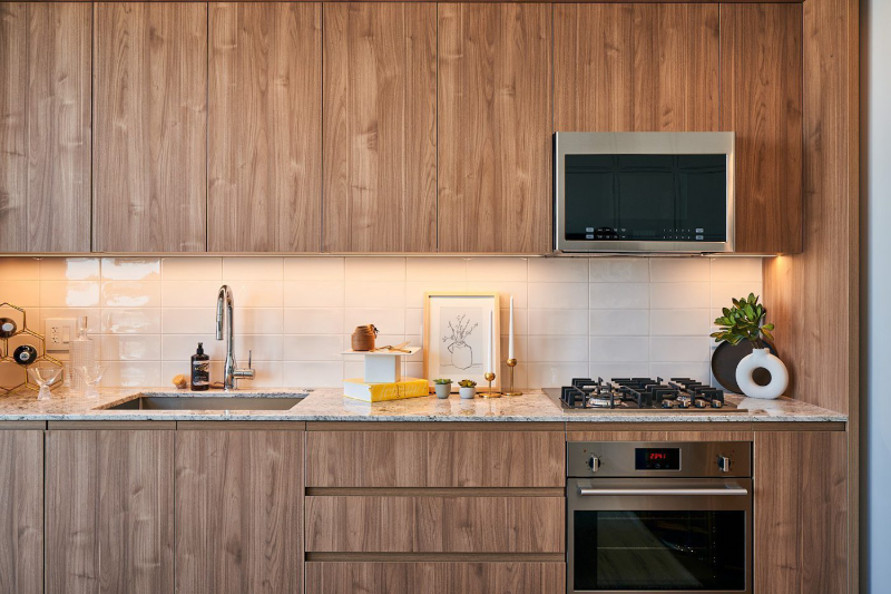 Chicago Condo: 338 W Hill St