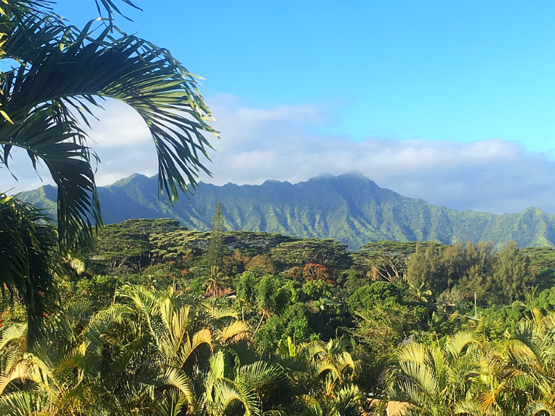 Kilauea House: 4362 Ulua St.