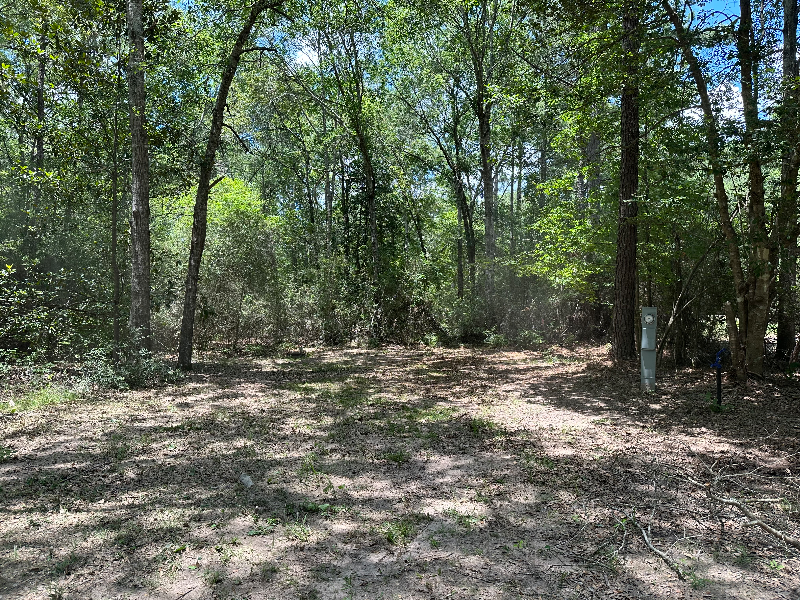 Zavalla Other: 310 Cotten Ln