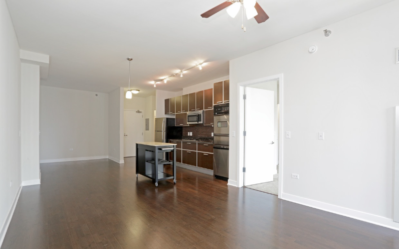 Chicago Condo: 650 W Wayman St