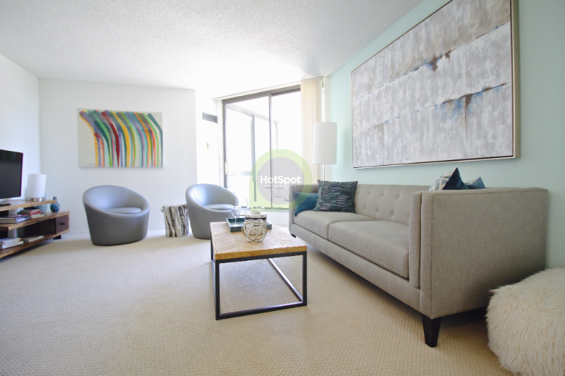 Chicago Condo: 732 N Dearborn St