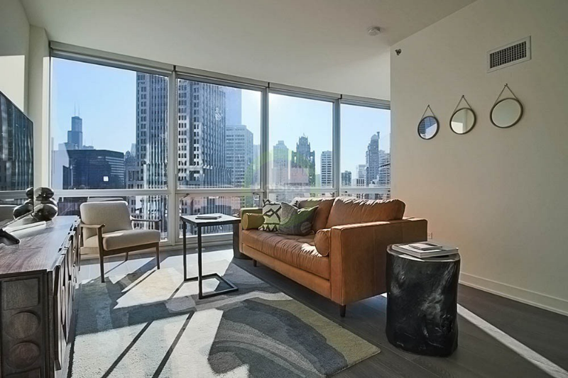 Chicago Condo: 480 North Park