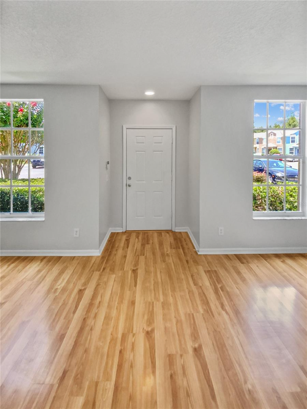 Wesley Chapel Townhome: 30205 Swinford Lane