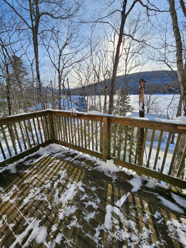 Dedham Condo: 116 Pine Trail