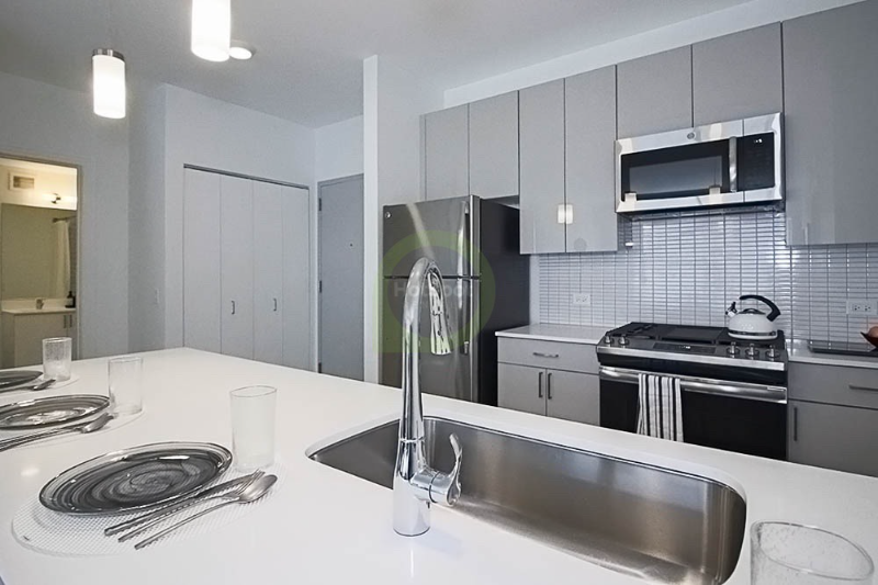 Chicago Condo: 809 W Vanburen