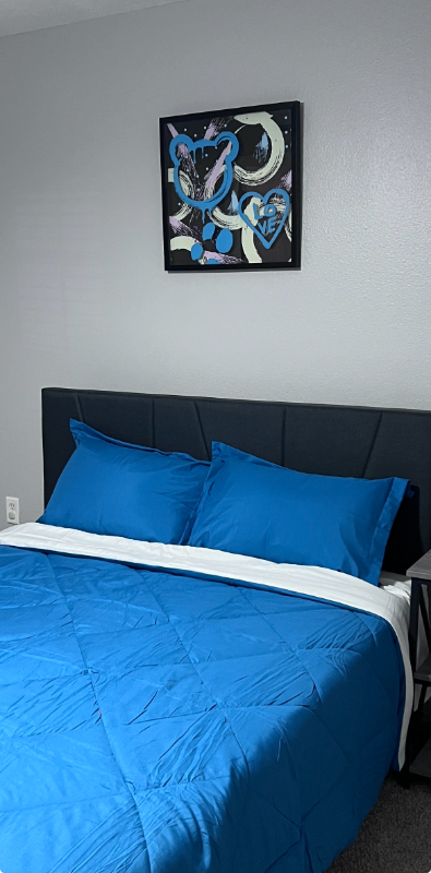 Brandon Townhome: 2410 Middleton Grove Drive